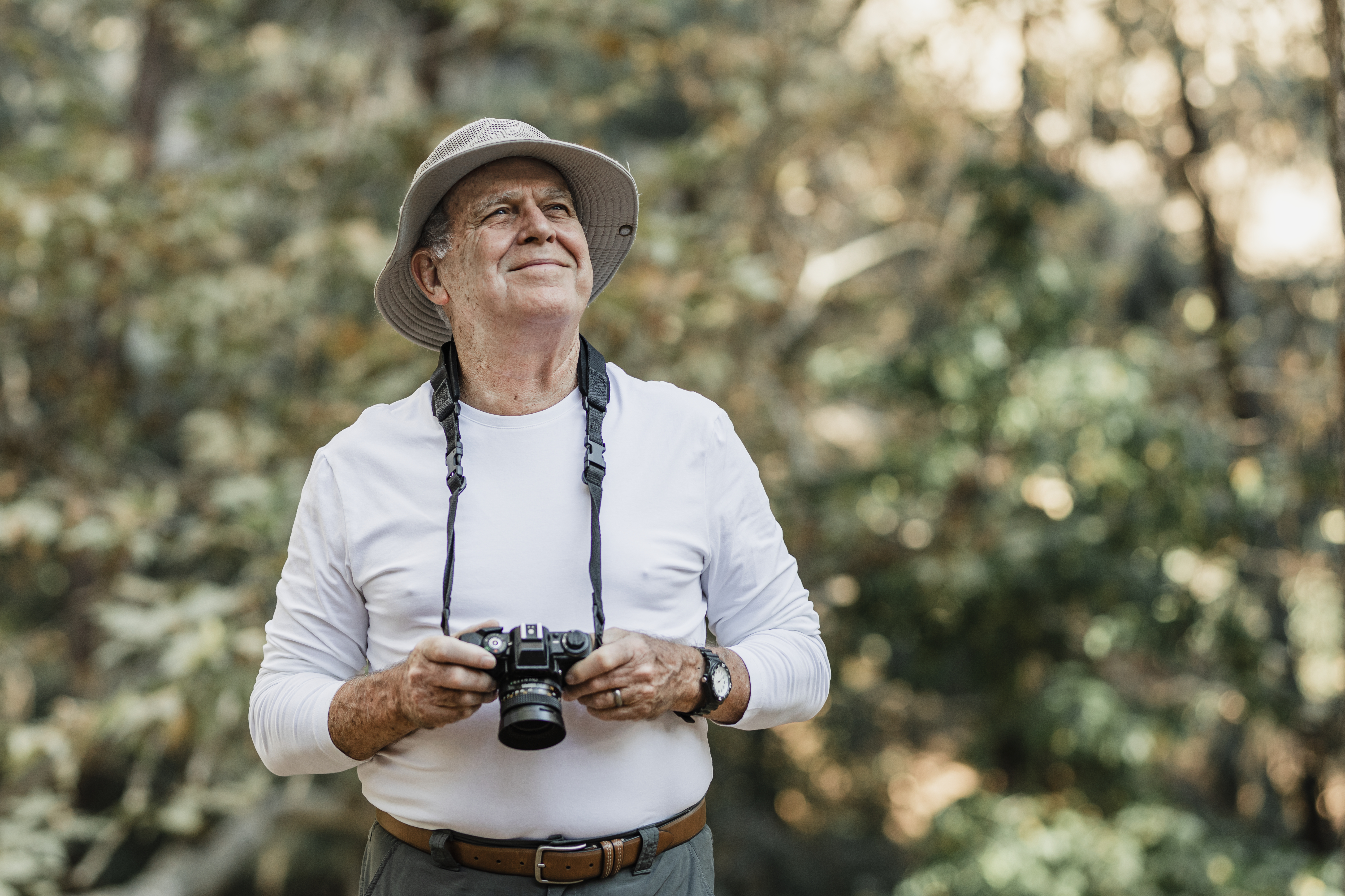 Paisagem natural exuberante com mata e luz suave